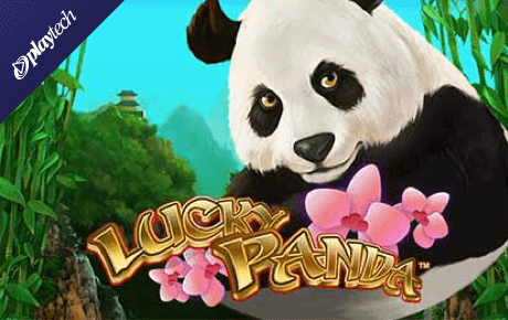 Lucky Panda slot 24383