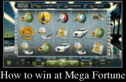 Mega fortune 31139