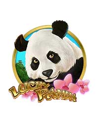 Lucky Panda slot leverantör 11678