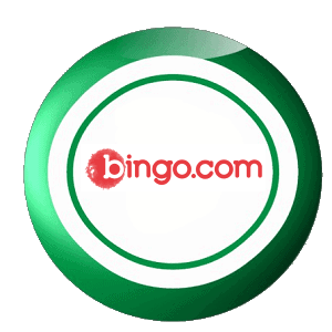 Spelguide för bingo Nya 56944